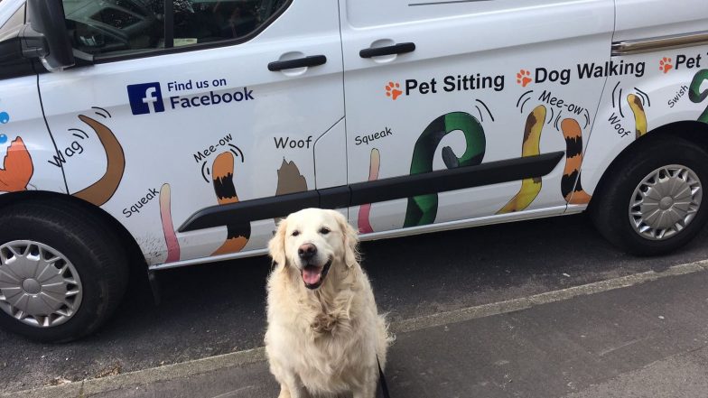 Pet Taxi