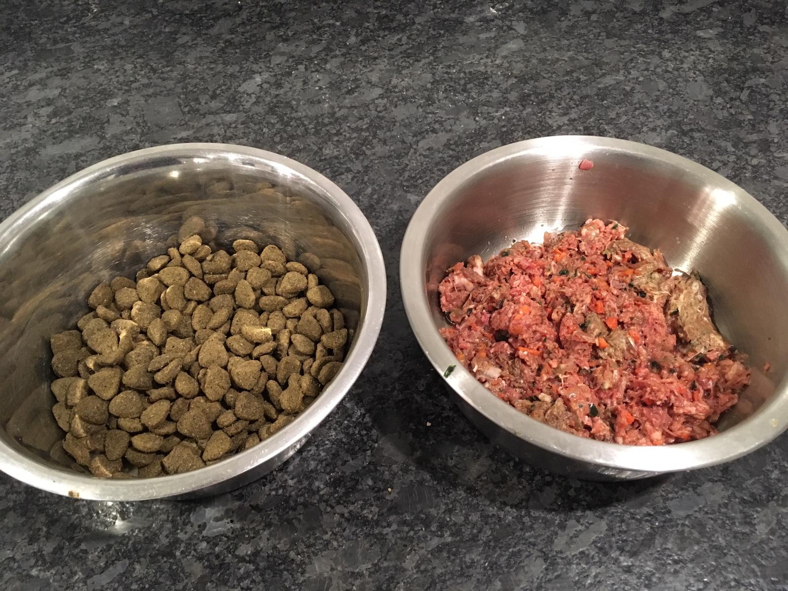 Dog’s Dinner Animal Assistance